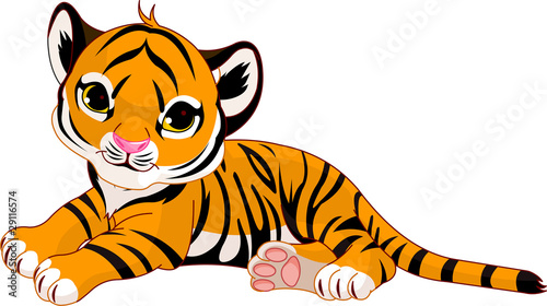 Little tiger cub resting