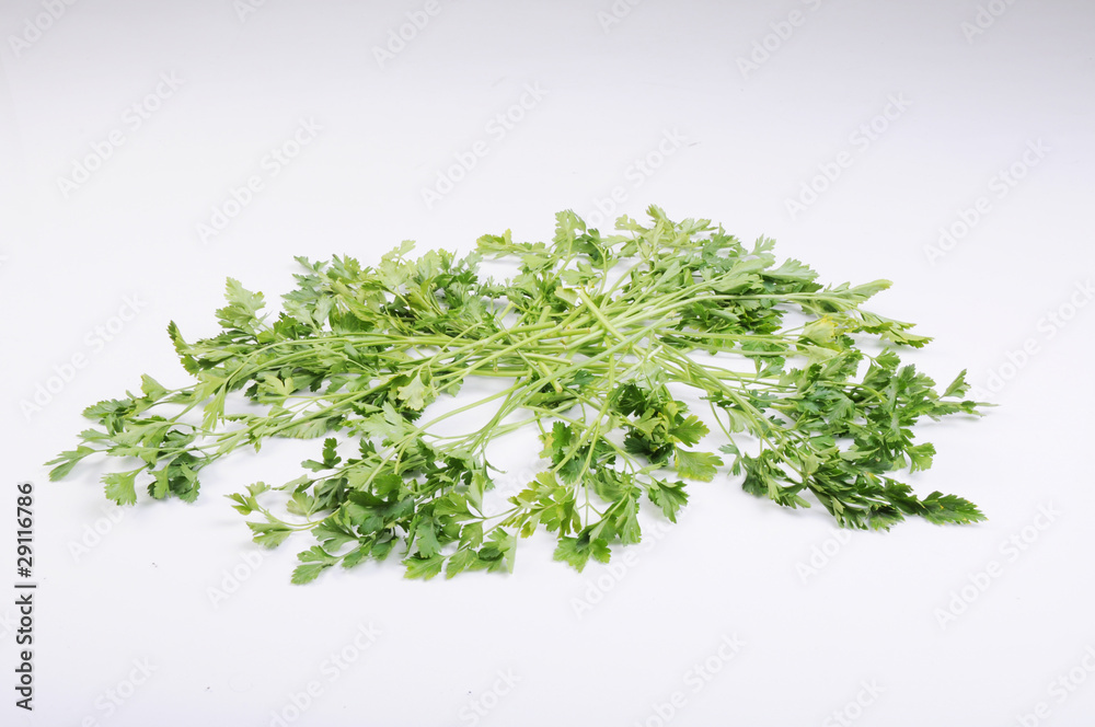 Parsley isolated on the white background