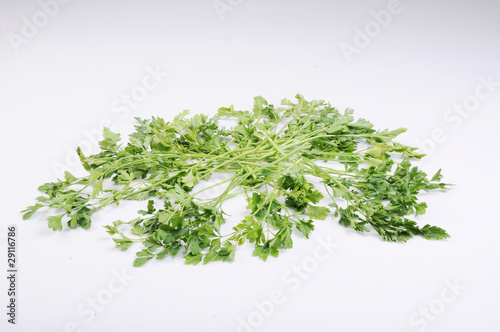 Parsley isolated on the white background