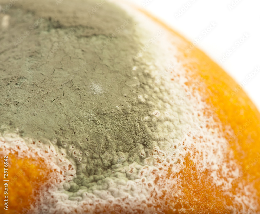 Obraz premium damaged lemon