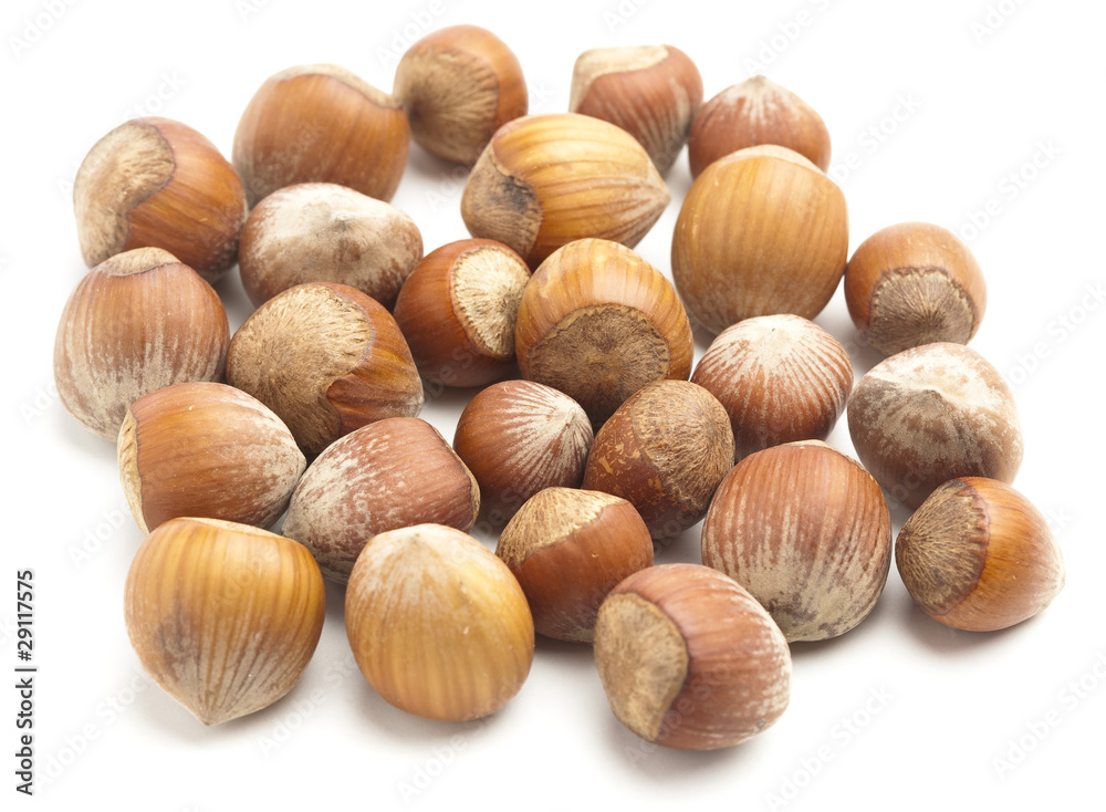 hazelnuts hazelnuts