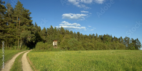 Naturpanorama Waldweg