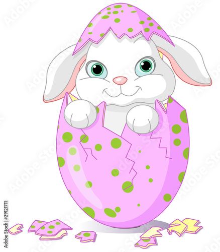 Easter Baby bunny hatched from one egg
