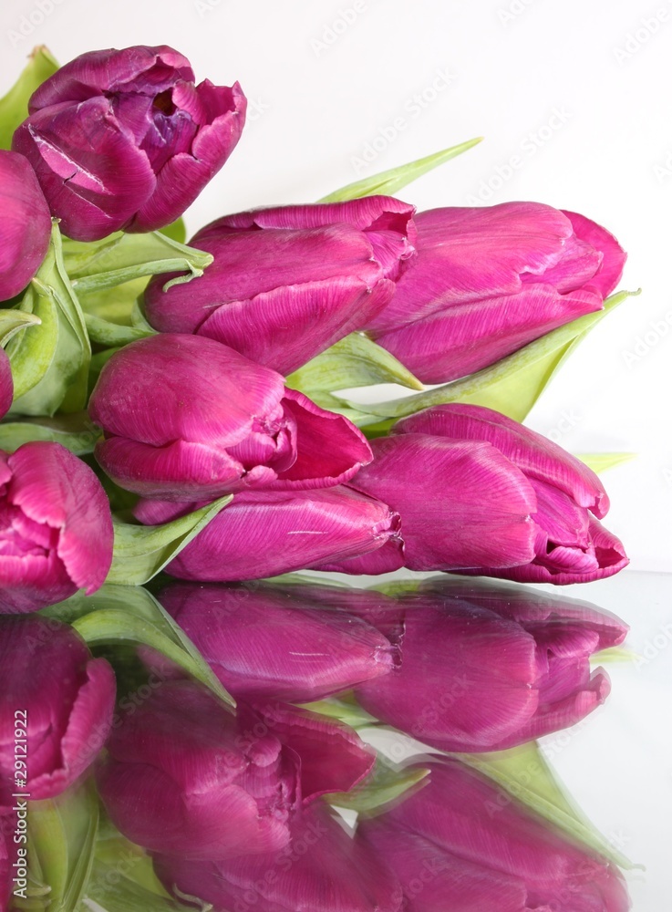 Tulpenstrauss mit Spiegelung Tulpenstrauss mit Spiegelung