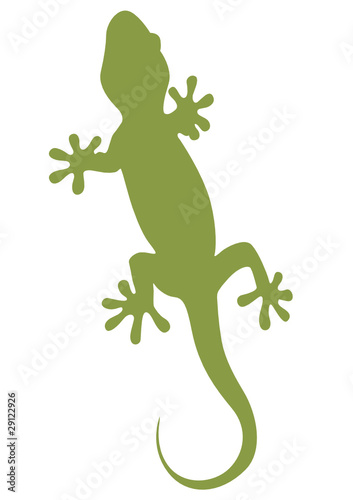 Sagoma geco verde