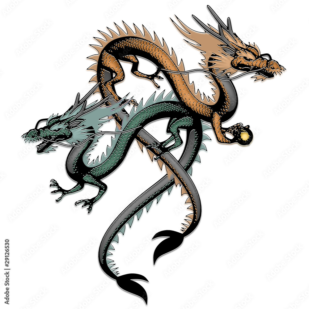 Obraz premium 双龍