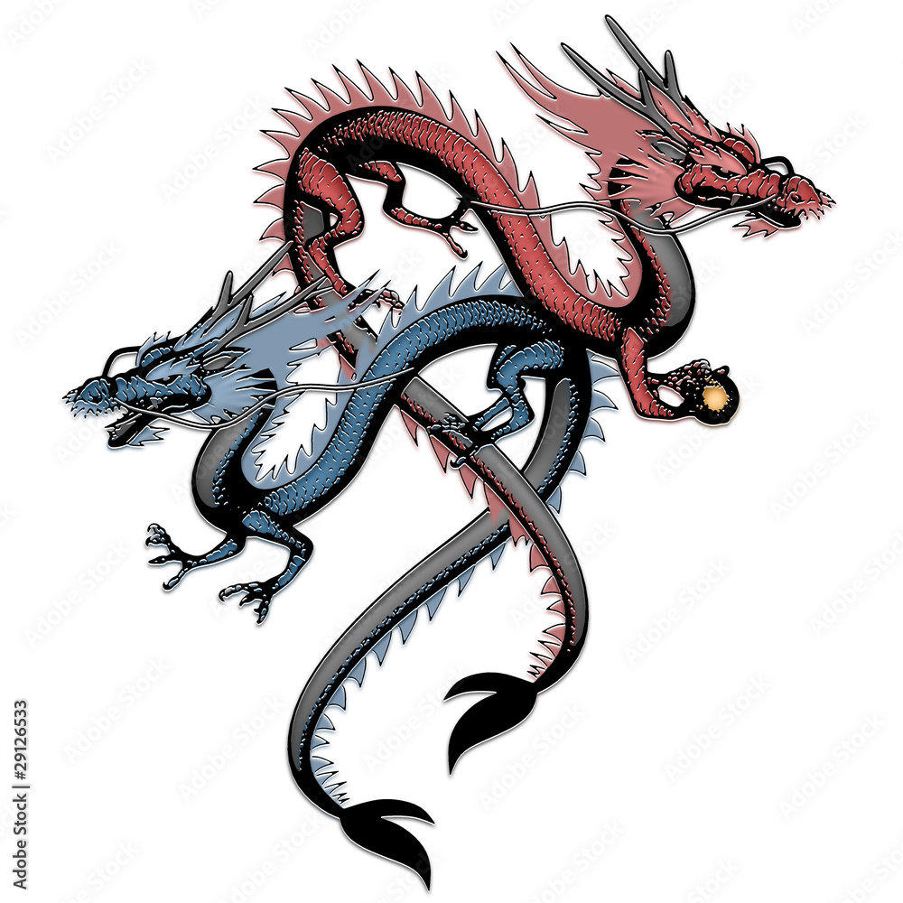 Obraz premium 双龍