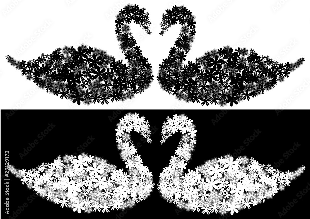 vector black and white floral swans vector black and white floral swans