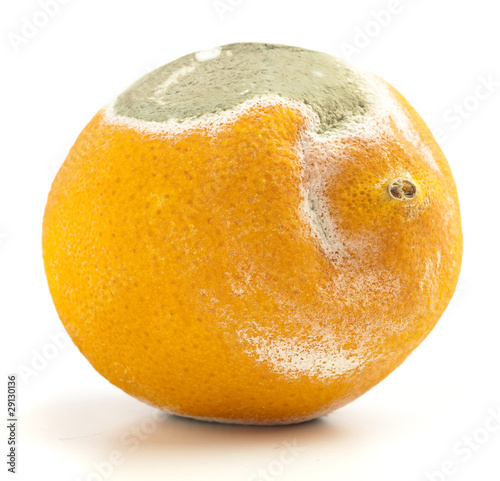 damaged lemon isolated on a white background