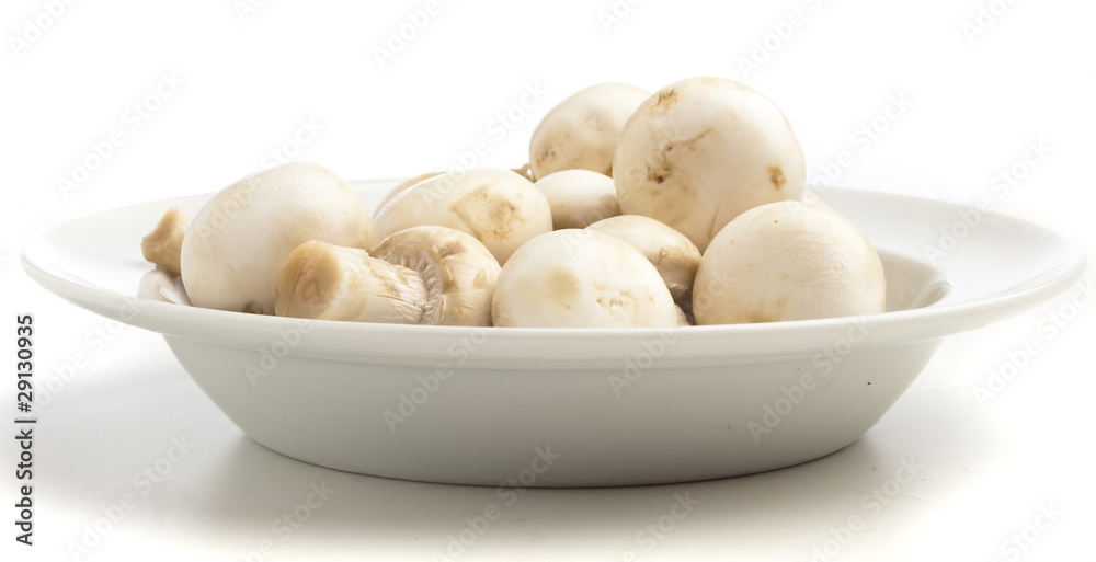 mushrooms mushrooms