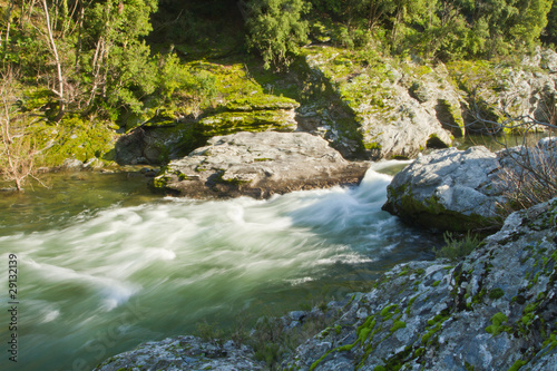 eau vive en riviere corse  le golo 