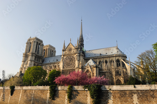Notredame Cathedral, Paris