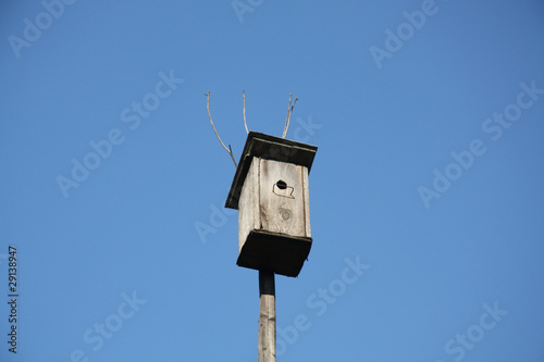 Obraz na płótnie Birdhouse in the spring w salonie