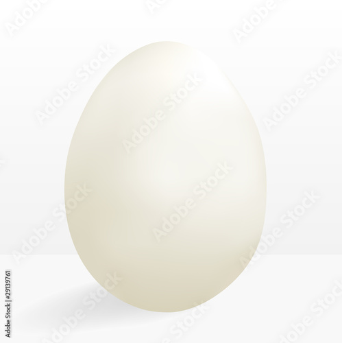 Egg