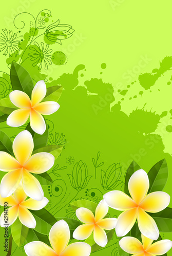 Frame with fresh green leaves and white flowers