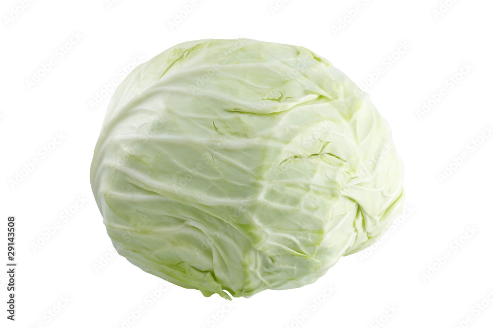 cabbage cabbage