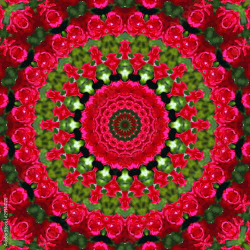 Rote Rosen Mandala - Red Roses Mandala photo