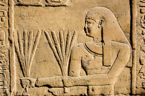 Ancient Egyptian Priest with Wheat