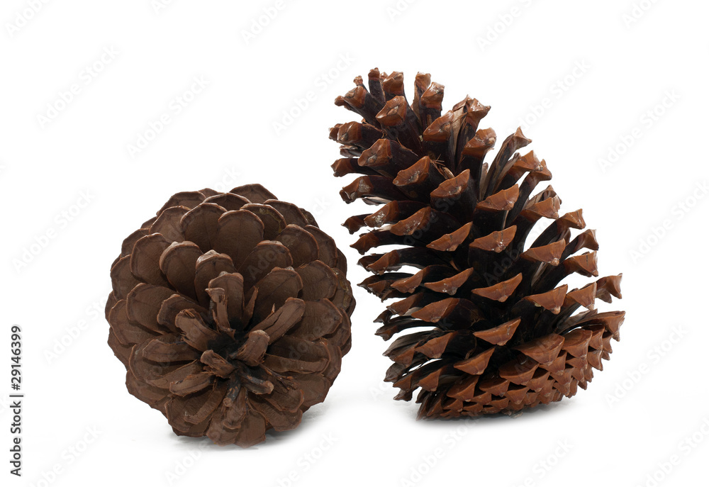 Cone Cone