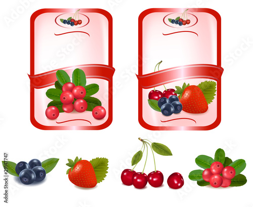 Two red labels with berries and cherries. Vector.