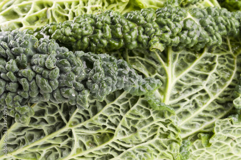 Raw cabbage food background Raw cabbage food background
