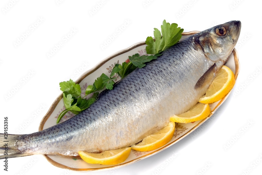 herring