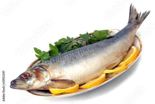 herring