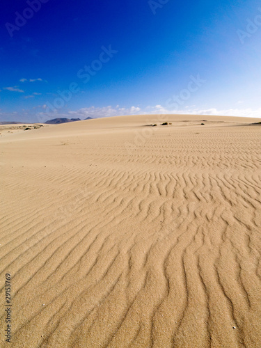 Dunes of Corralejo  Fuerteventura
