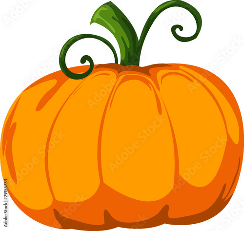 Pumpkin