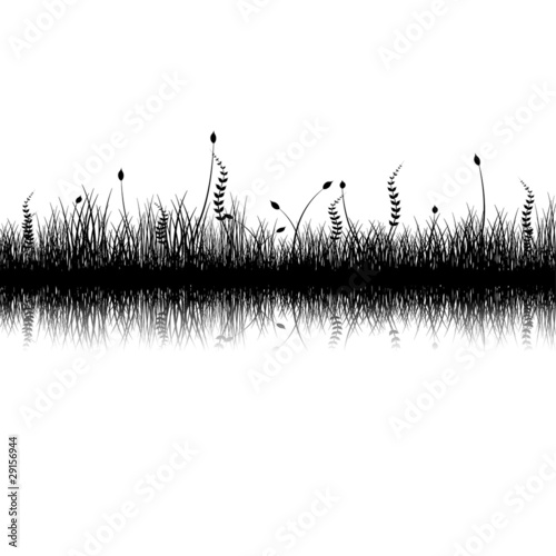 Vegetation silhouette with reflex over white background