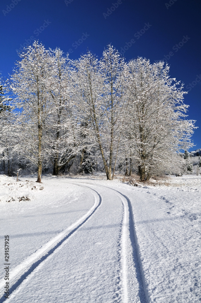 Countryside road with winter snow Countryside road with winter snow