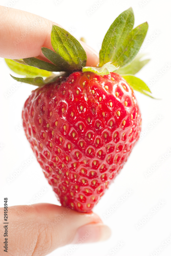 Obraz premium Strawberries isolated