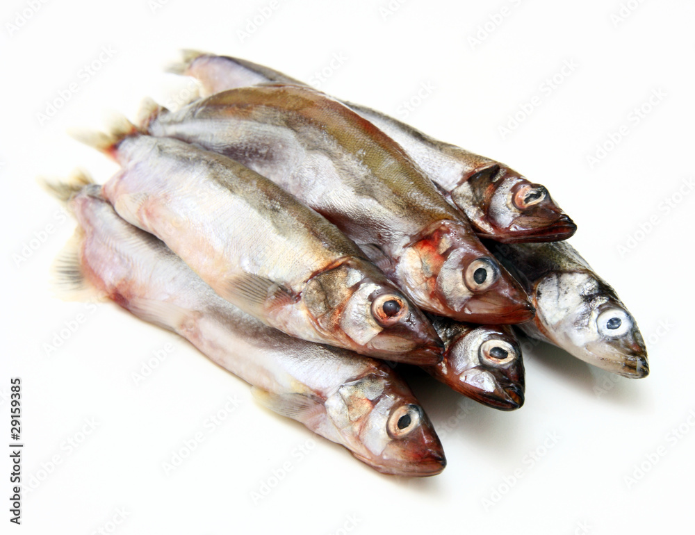 Capelin fish isolated on the white background Capelin fish isolated on the white background