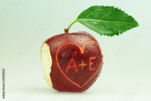 Foto Apfel von Adam und Eva