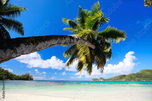 Fototapeta Naklejka Na Ścianę i Meble -  Perfect beach in Seychelles
