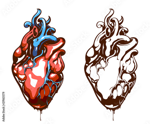 Anatomical heart isolated on white