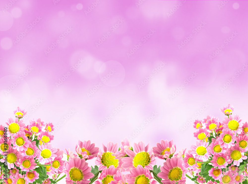 Spring background