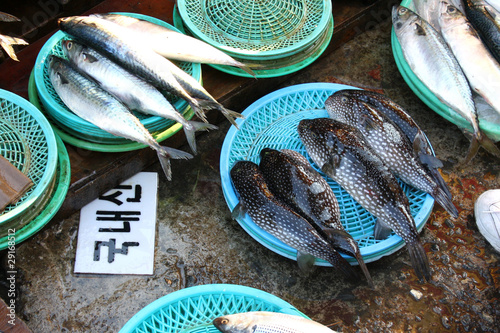 фотографія Kugelfische auf einem Fischmarkt