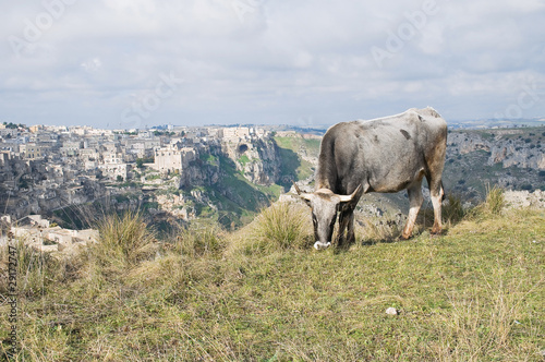 The Sassi of Matera. Basilicata.