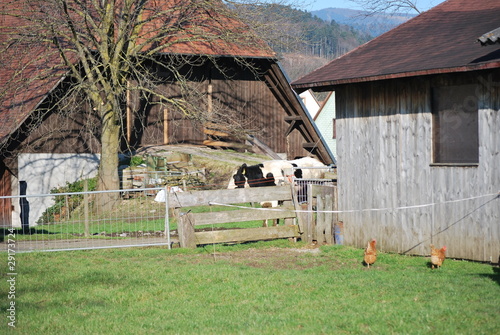 Auf dem Lande