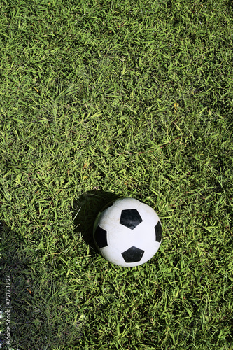 football green field  daylight