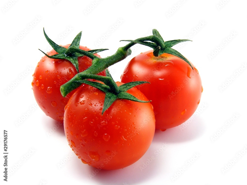 Wet fresh tomatoes with stem & leaves on white background Wet fresh tomatoes with stem & leaves on white background