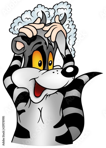 Racoon and Foam - colored c...
