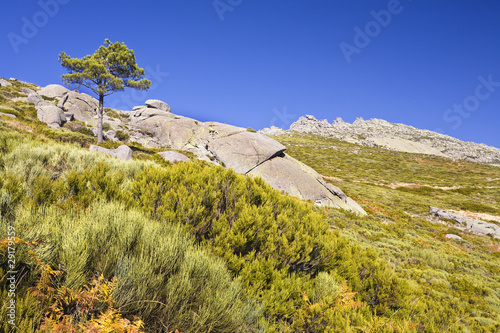 Sierra de Gredos photo