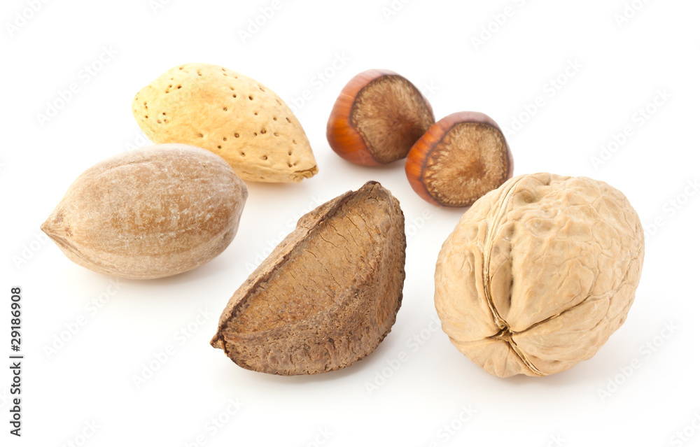 Mixed Nuts in the Shell Mixed Nuts in the Shell