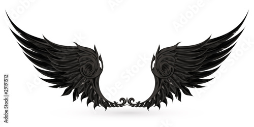 Wings black