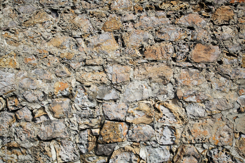 Natures wall Natures wall
