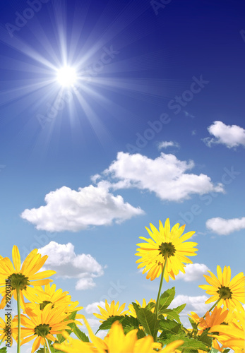 Sun and flowers