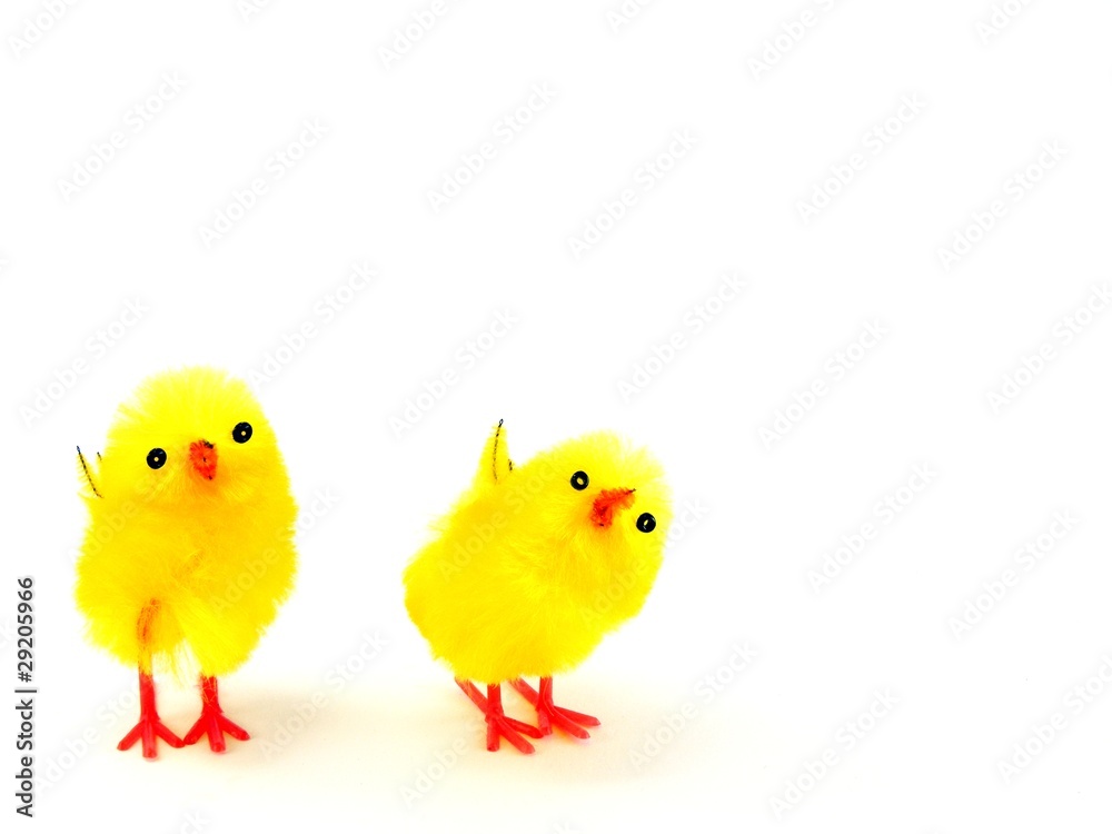 2 easter chicks on a white background with copy space
