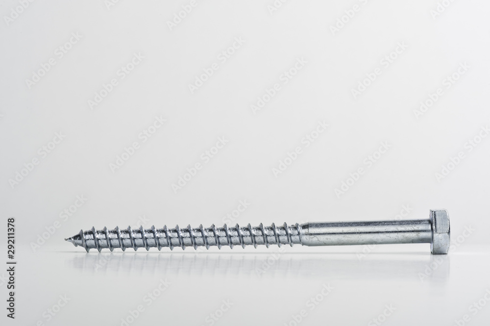 Screw shot on white Screw shot on white